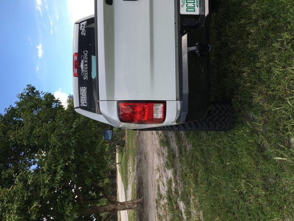 image3 (5)