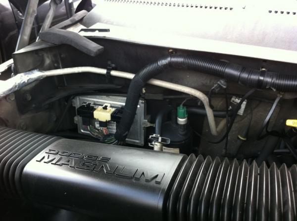 IMG 0573