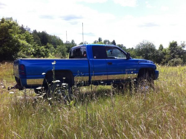 In the field.