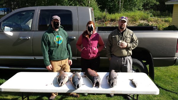king salmon catch