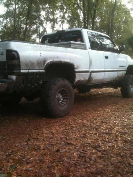 miss the old swampers