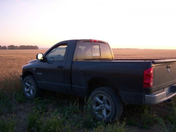 My first truck, 2008 Regular Cab Sport, 4x4 with Hemi. Loved that truck.