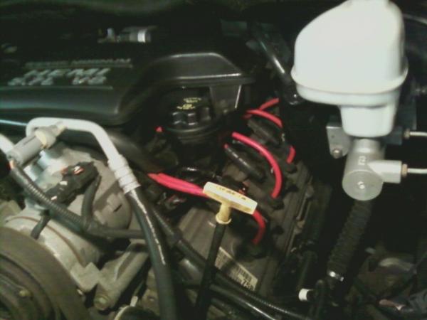 my msd wires