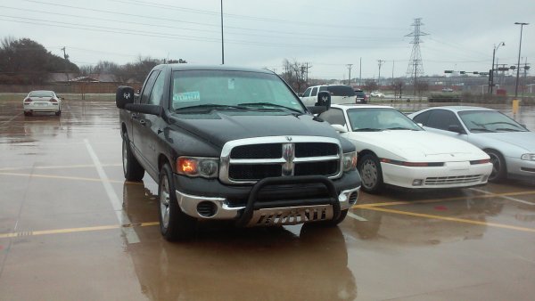 New bull bar