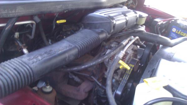 New cap/rotor, plugs, wires, & coil
