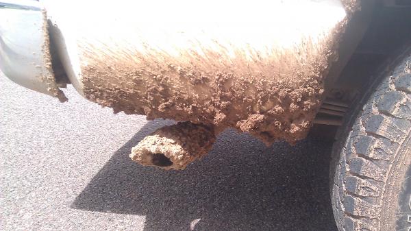 New exhaust tip. Called Mudpac. lol