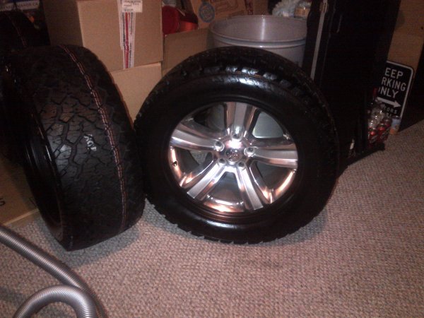newshoe 1