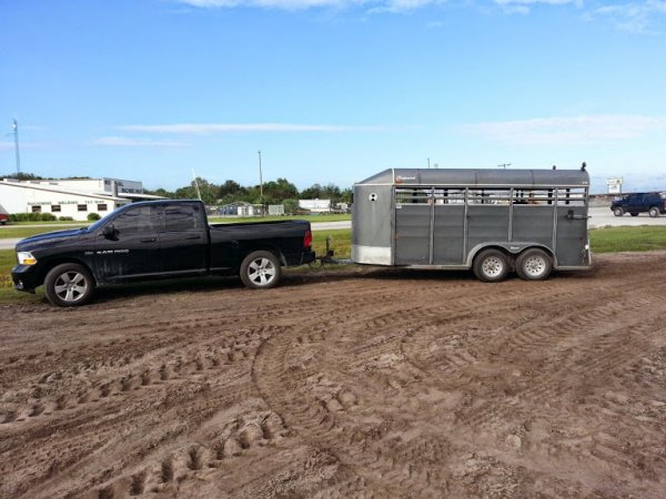 Not a Ram Runner yet, so I'll have to settle for a Cattle Runner until she is done. And we all know it takes time and money... One day she'll look the