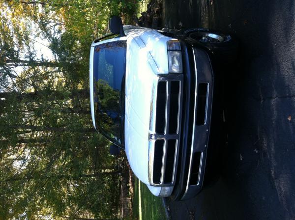 Painted front bumper and grill insert