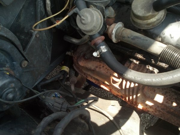 Passenger side engine. Rusted up headers, breather cap behind whatever that hose is in the way.