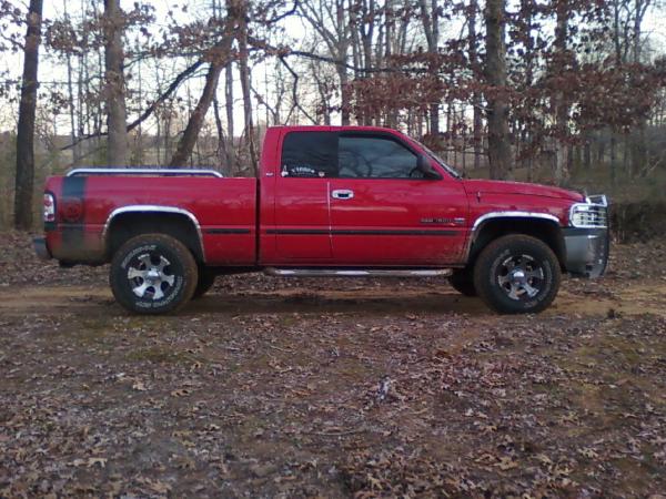 pic in the woods