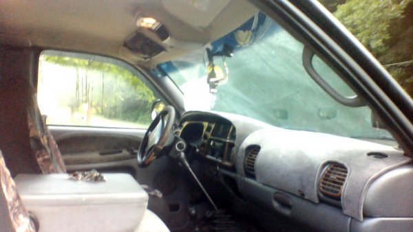 picture017