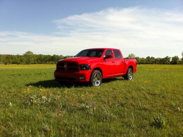 Posing in the grass.