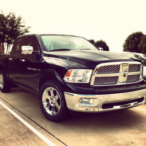 Ram - front - filtered
