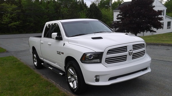 Ram
