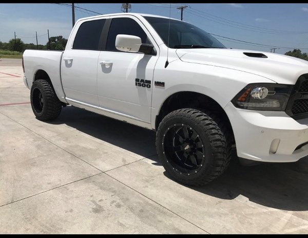 ram