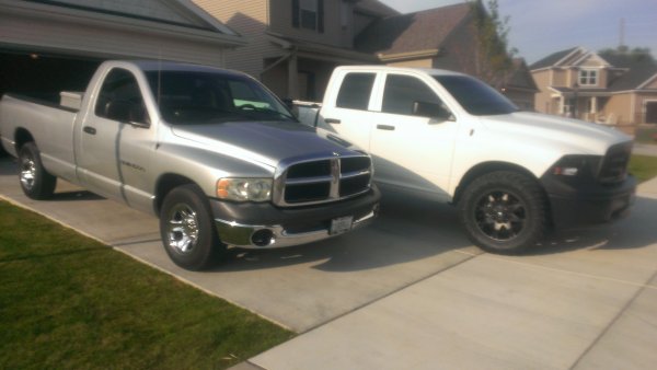 Rams