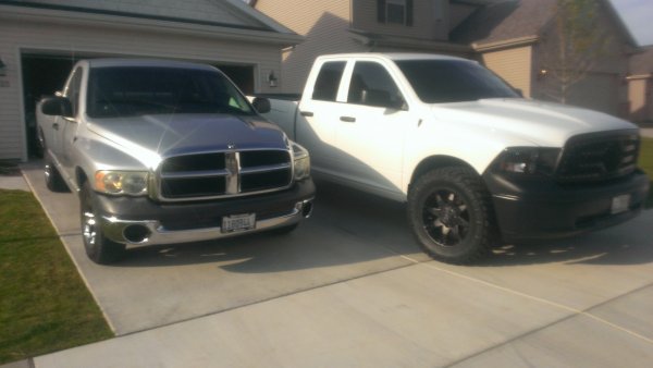 Rams