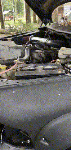 ResizedP_Video_20220909125206437_by_VideoShow.gif