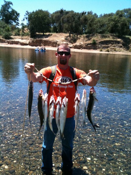 shad fishing the American river.
first hour and a half of the day.
