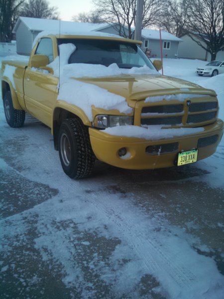 she dont like the snow