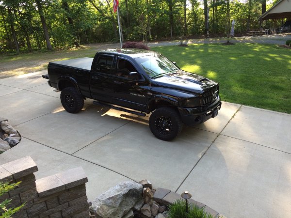 Sittin pretty