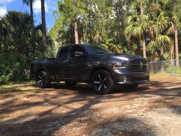 Sitting pretty. pretty happy with my two tone plasti job