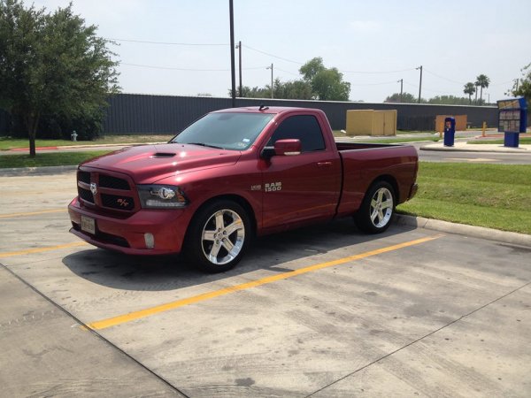 sitting there looking pretty