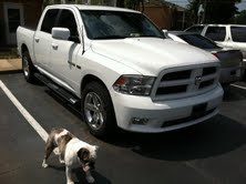 Stock