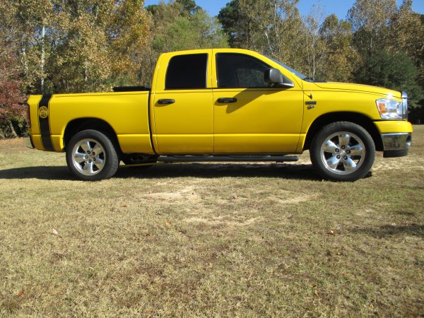 Super Bee in the park