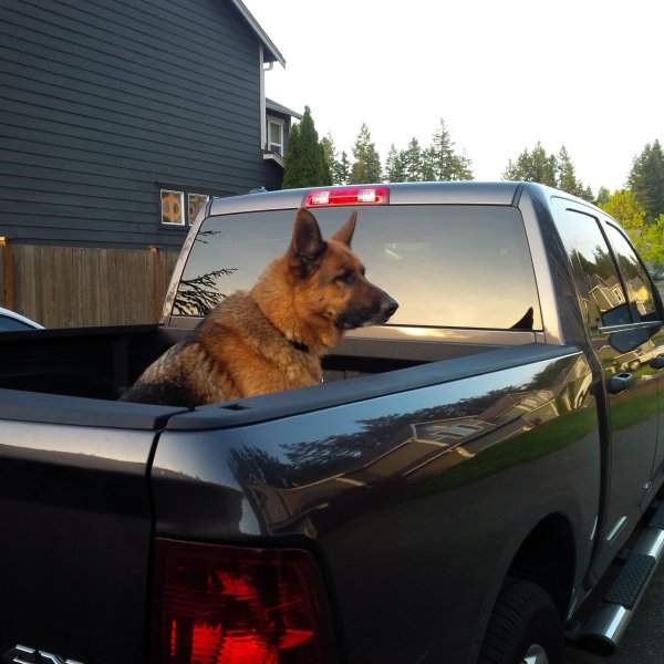 Takin him on his first ride