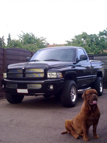 The Bordeaux Dog with my Ram