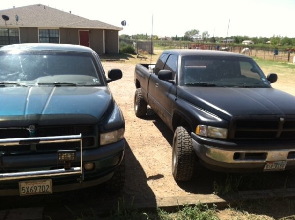 the trucks...with the cummins having the painted grille