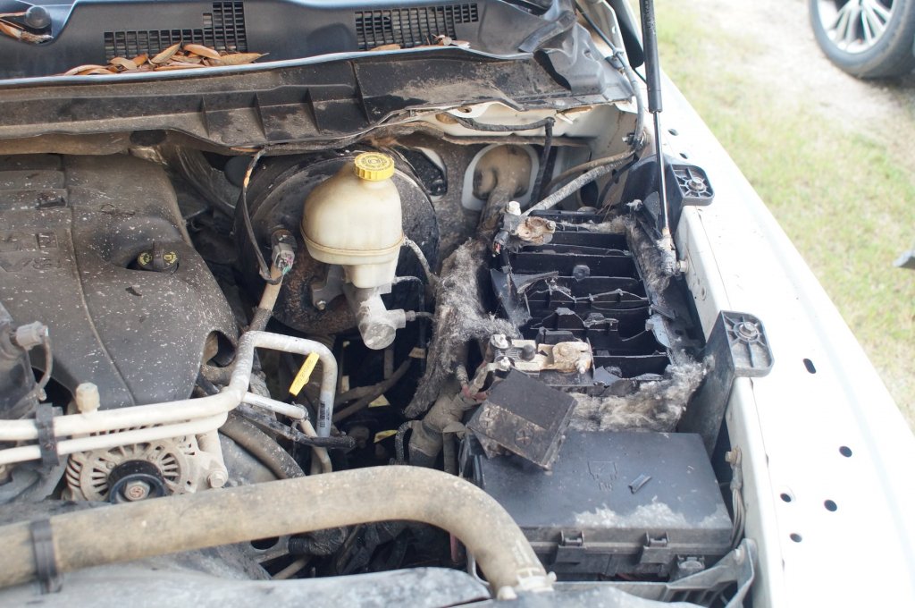 Truck Batt2