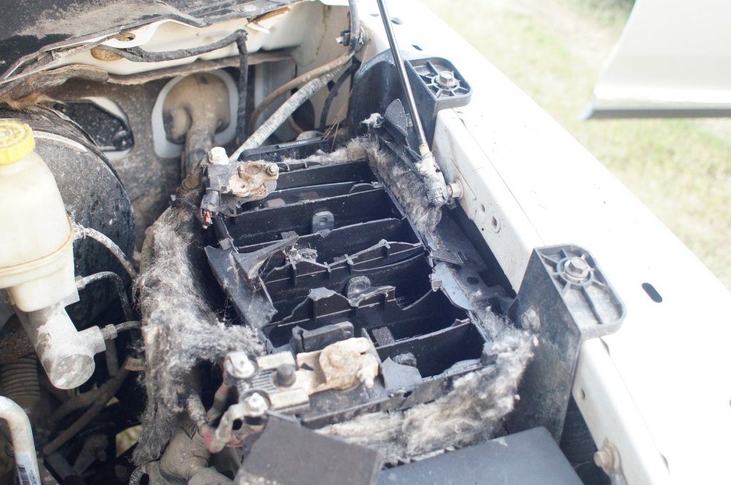 Truck Battery