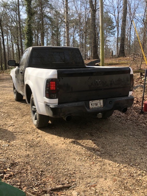 TRXrear10.jpg