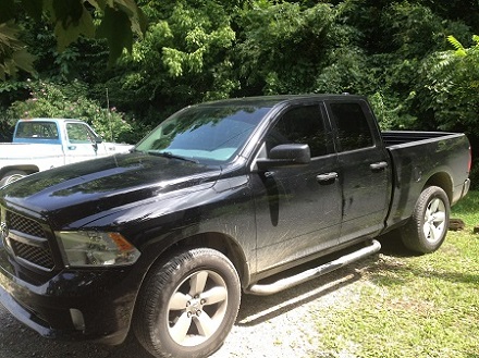 Windows Tinted