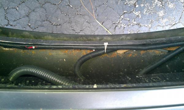 wiring for both the bull bar lights and the fog light in the bumper