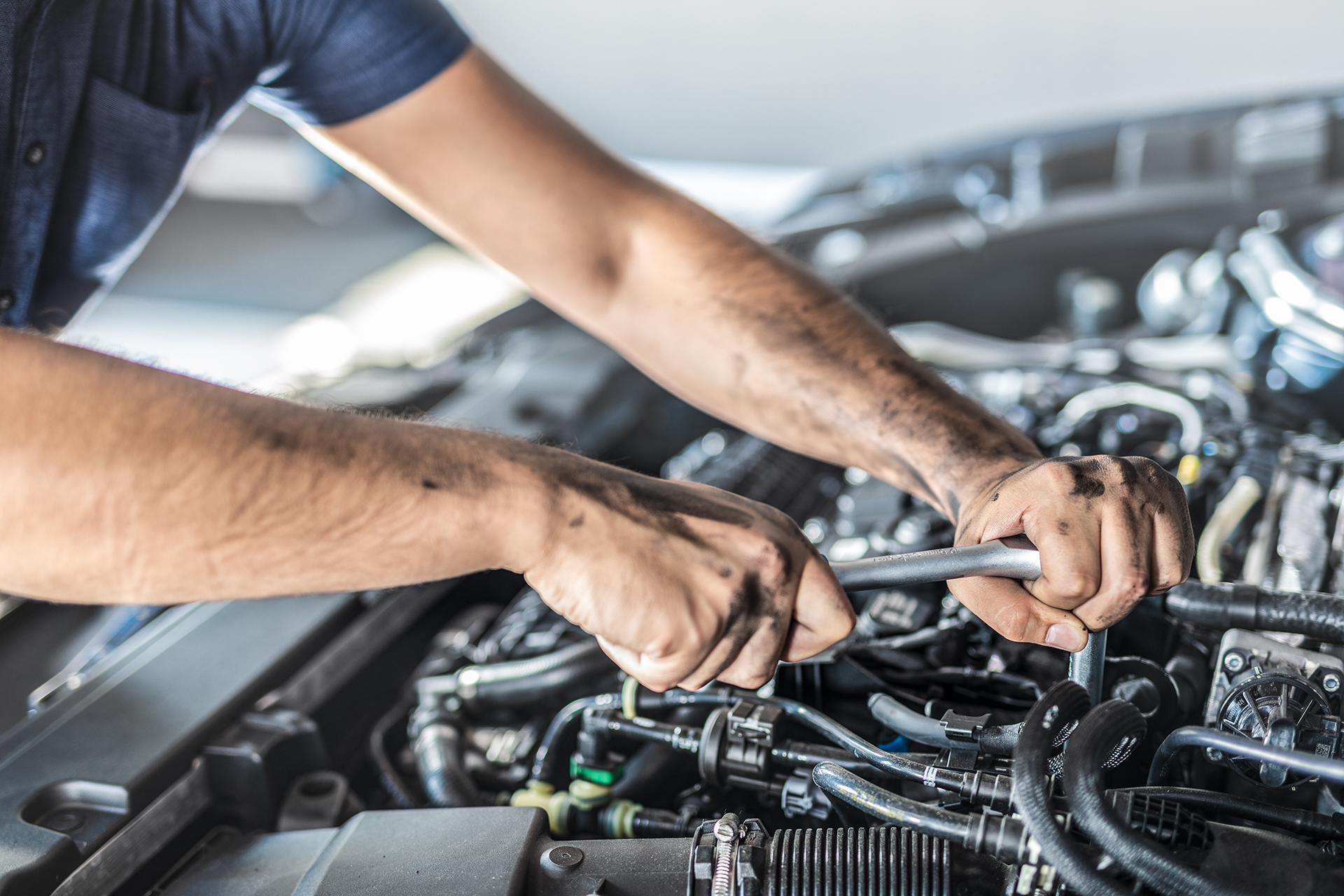 www.stevoautoclinic.ca