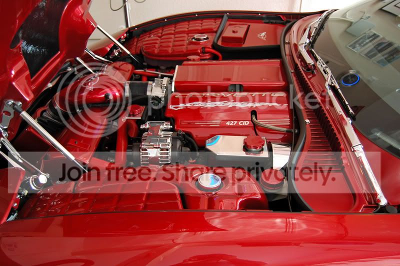 MAGRED1-DRIVERSIDE_edited-1.jpg