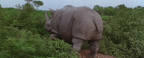uNC0hFj.gif
